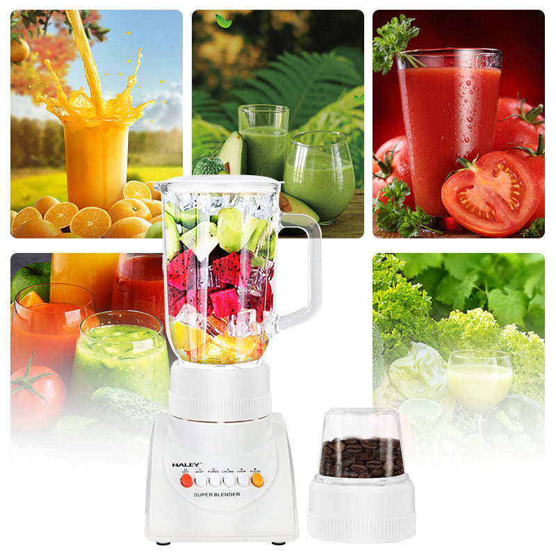Blender Multifuncțional 2 în 1 HALEY 800W, 4 Viteze, 1L, Măcinător de Cafea, Capacitate Suc 500ml, Design Compact