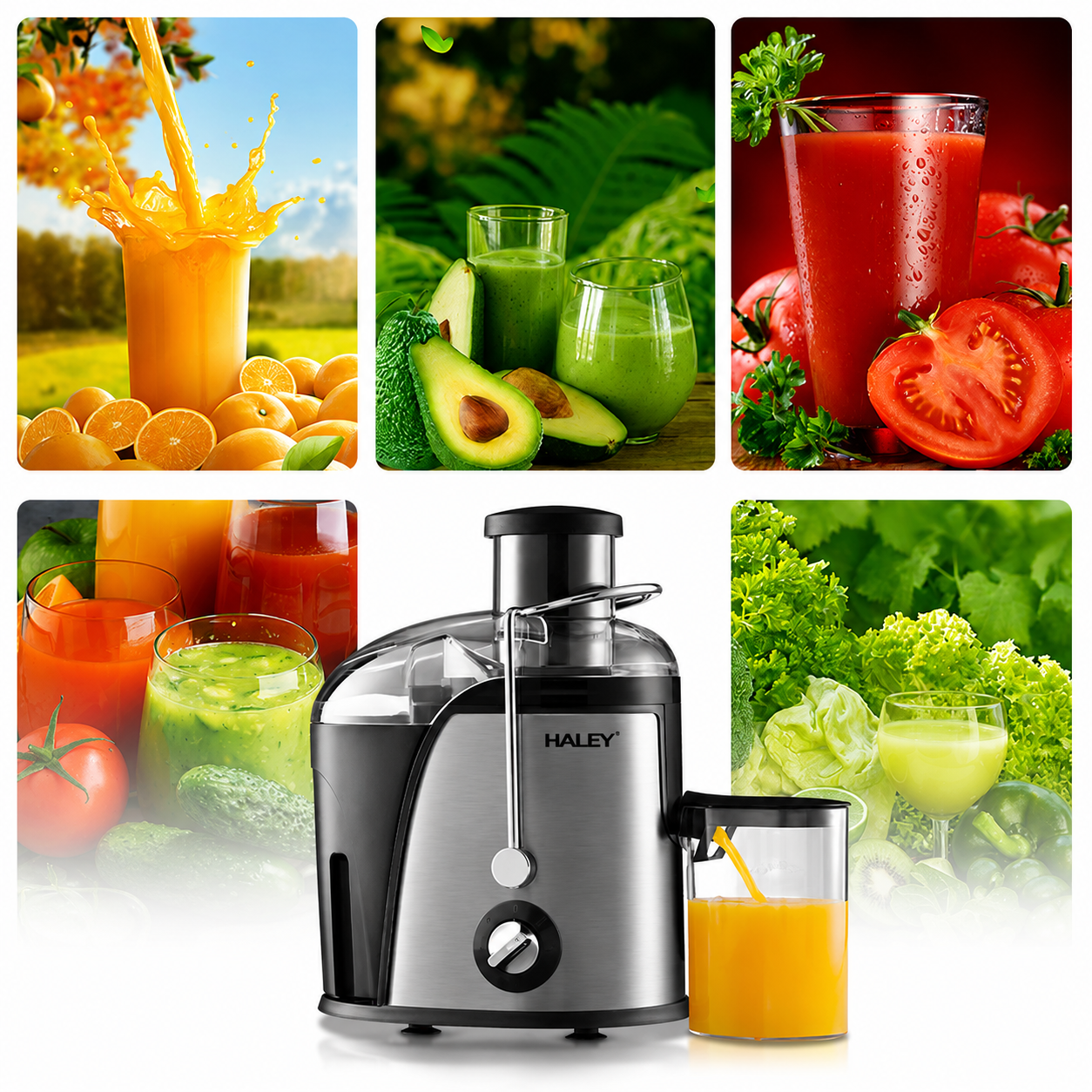 Storcător De Fructe Și Legume HALEY HY-2902, 1000W, 3 Viteze + Pulse, Tub Alimentare 65 mm, Recipient Pulpă 1.2L, Recipient Suc 0.5L, Filtru Din Oțel Inoxidabil