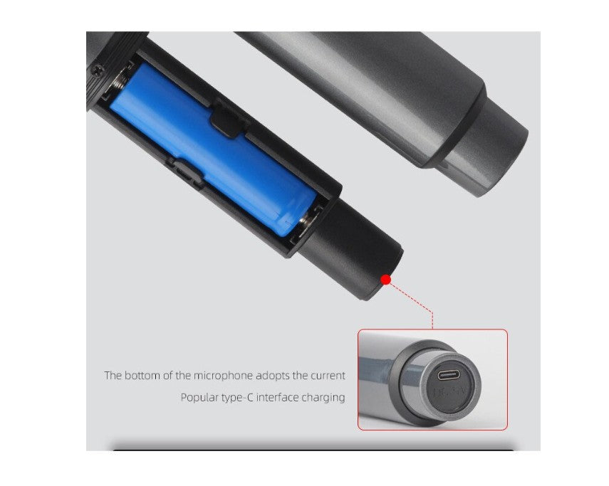 Set 2 microfoane, Wireless, AT PERFORMANCE®, Pentru Karaoke, Negru