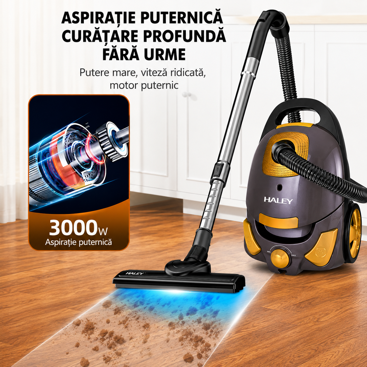Aspirator Cu Sac HALEY HY-951, 3000W, Putere De Aspirare ≥500W, Sac 4L, Filtru HEPA, Putere Reglabilă, Cablu 6,5 m, Negru/Auriu