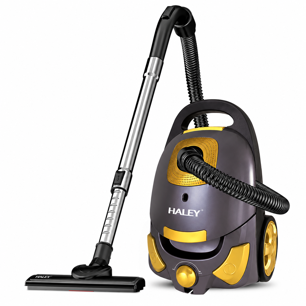 Aspirator Cu Sac HALEY HY-951, 3000W, Putere De Aspirare ≥500W, Sac 4L, Filtru HEPA, Putere Reglabilă, Cablu 6,5 m, Negru/Auriu
