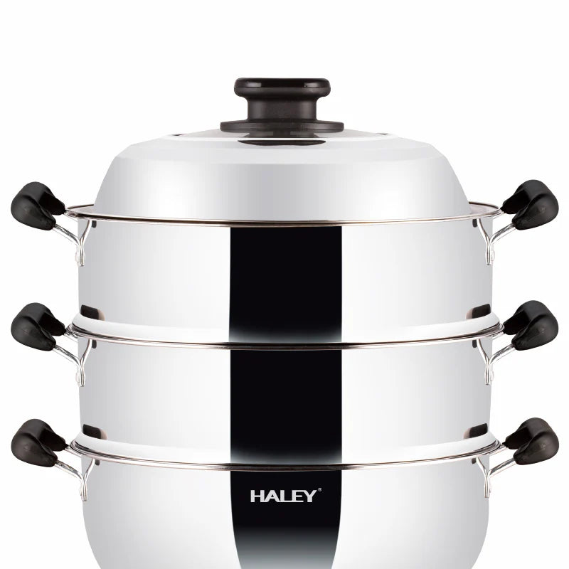 Vas Electric Multifuncțional HALEY HY-501, 2100W, Inox Premium cu Abur pe Două Nivele, Ideal pentru Gătit Sănătos Acasă sau la Hotel