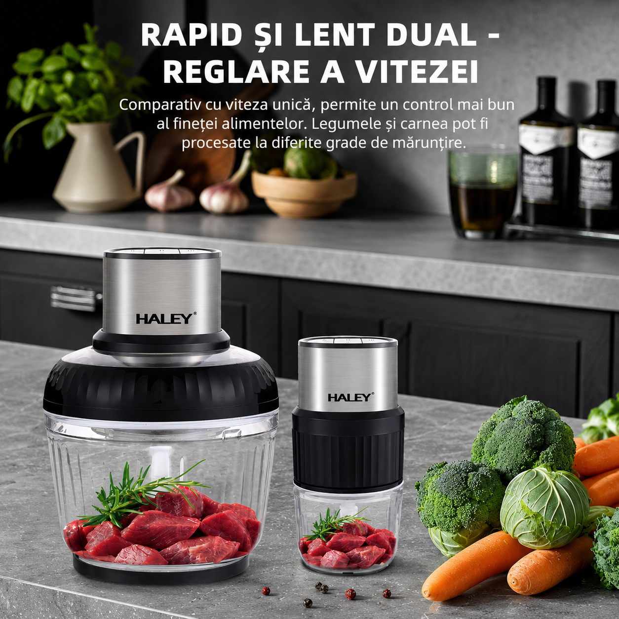 Tocător Electric Haley HY-1249, 500W, 2 Recipiente 2.5L + 0.5L, 3 Viteze, 4 + 6 Lame, Sticlă Borosilicată