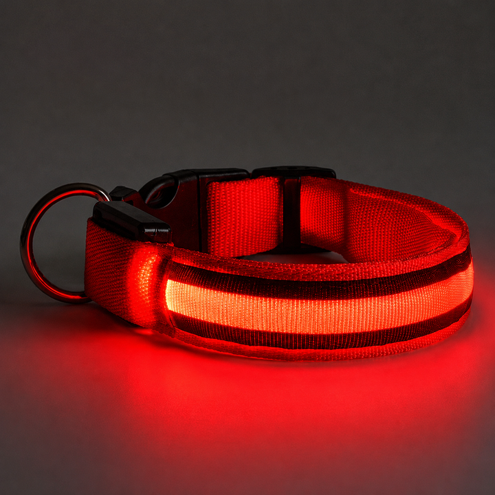 Zgarda pentru caini cu LED, incarcare USB, reglabila, rezistenta la apa, vizibilitate crescuta, masura L,60 cm