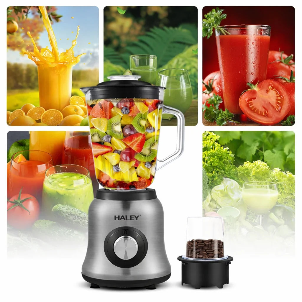 Blender Multifuncțional HALEY HY-2941, 1000W, Bol Sticlă 1.5L, 2 Viteze + Râșniță