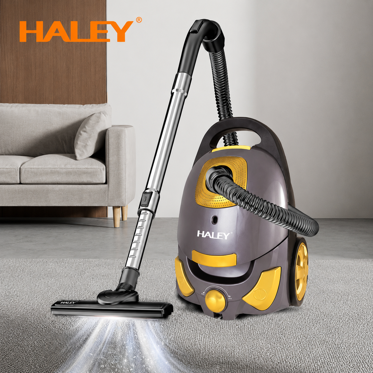 Aspirator Cu Sac HALEY HY-951, 3000W, Putere De Aspirare ≥500W, Sac 4L, Filtru HEPA, Putere Reglabilă, Cablu 6,5 m, Negru/Auriu