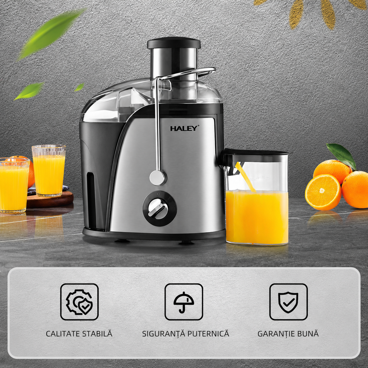 Storcător De Fructe Și Legume HALEY HY-2902, 1000W, 3 Viteze + Pulse, Tub Alimentare 65 mm, Recipient Pulpă 1.2L, Recipient Suc 0.5L, Filtru Din Oțel Inoxidabil